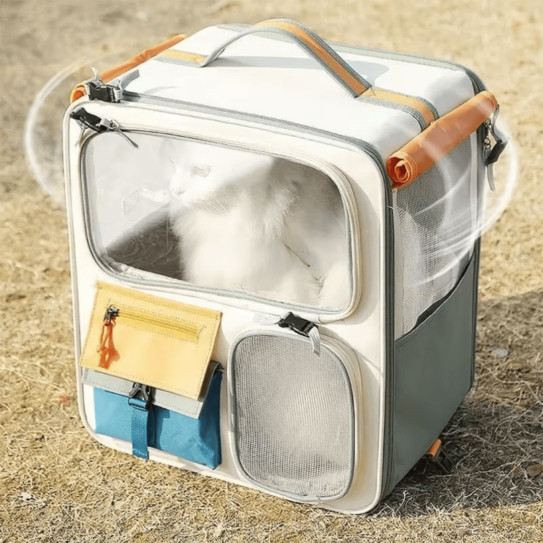 Valise de transport pour chats