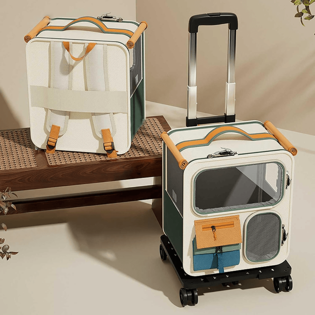 Valise de transport pour chats