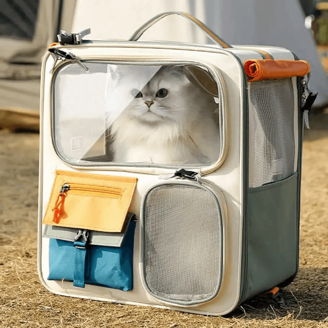 Valise de transport pour chats